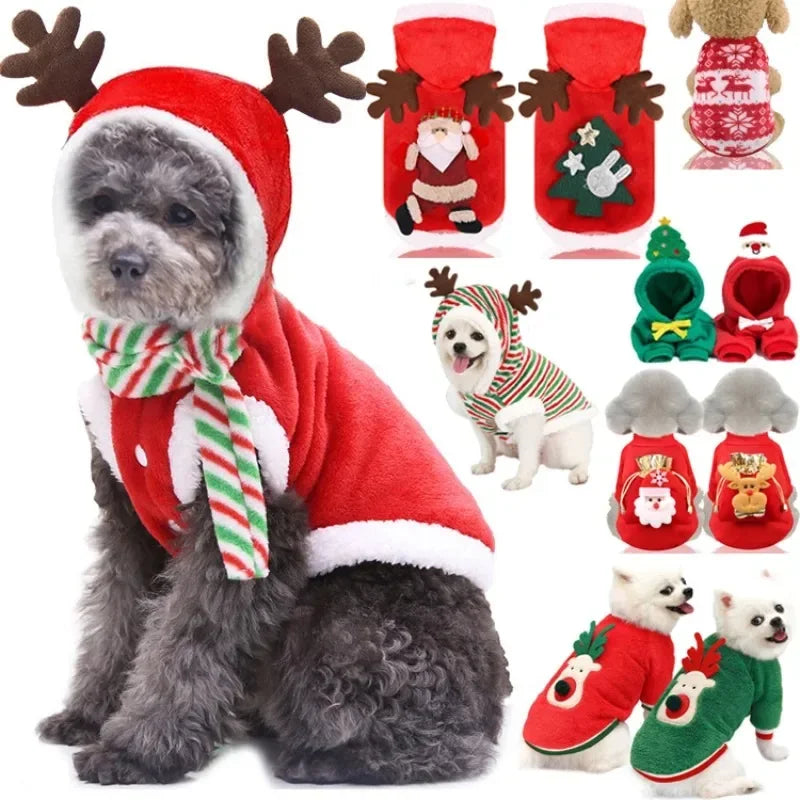 Tenue de Noël pour petits et moyens chiens – Douceur festive