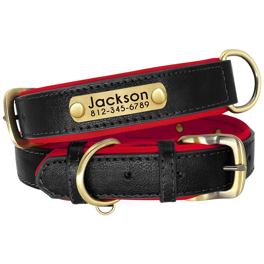 Collier en Cuir PU Personnalisé pour Chien – Chic et personnalisé