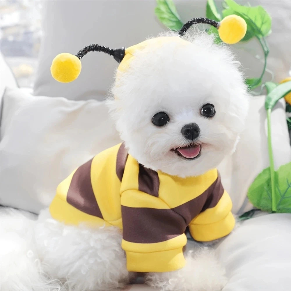 Costume Abeille pour Chat et Chien – Trop mignon pour résister