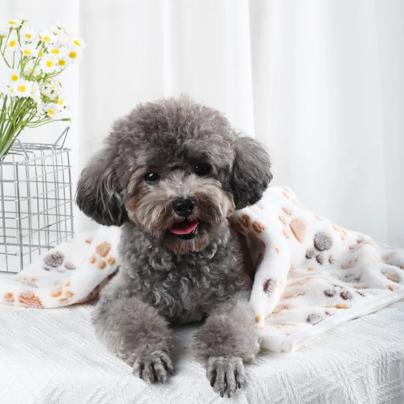 Couverture en Velours Polaire Douce Multiusage pour Chien et Chat | Chaude & Douilette | 60x40 à 100x76cm
