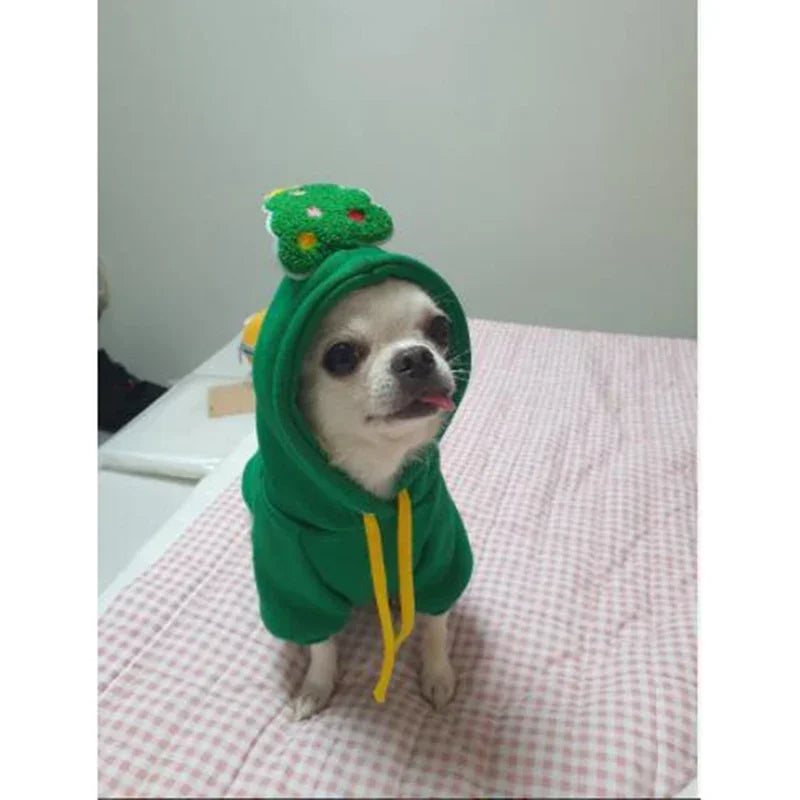 Tenue de Noël pour petits et moyens chiens – Douceur festive