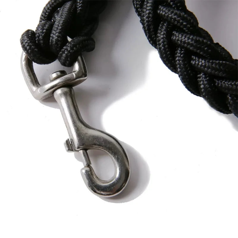 Laisse Tressée en Nylon pour Grand Chien – Solide comme un roc