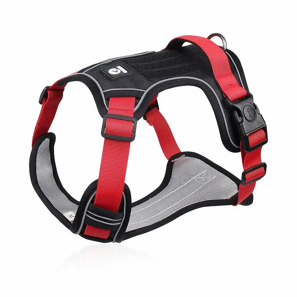Harnais Gilet Réfléchissant pour Chien