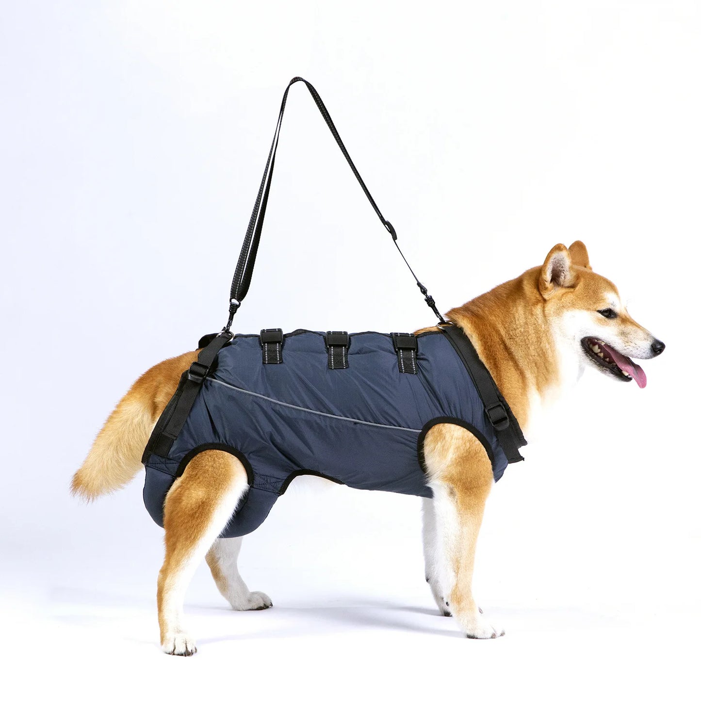 Harnais de Mobilité pour Chien – Soutien Complet 4 Pattes | Rééducation & Senior