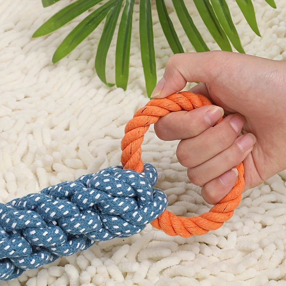 Jouet Remorqueur en Corde pour Chien – Le duel du salon !