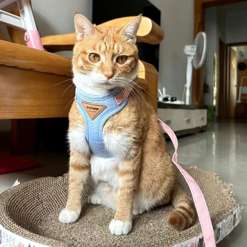 Harnais et Laisse pour Chat et Petit Chien – Prêt pour la balade
