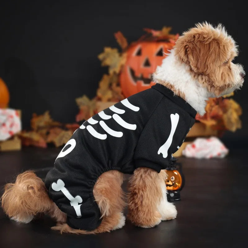 Costume Halloween pour Chien – Combinaison Squelette Phosphorescente