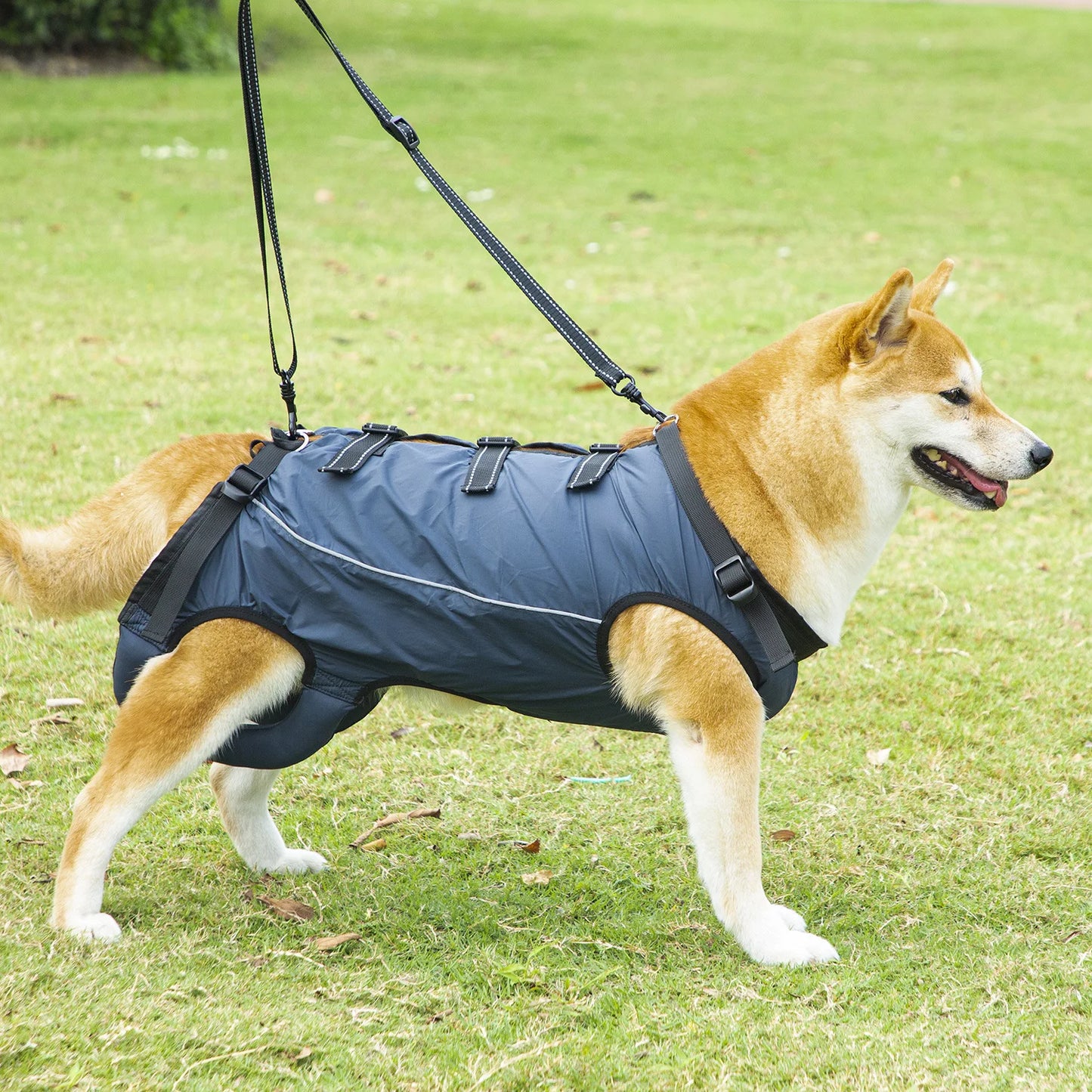 Harnais de Mobilité pour Chien – Soutien Complet 4 Pattes | Rééducation & Senior