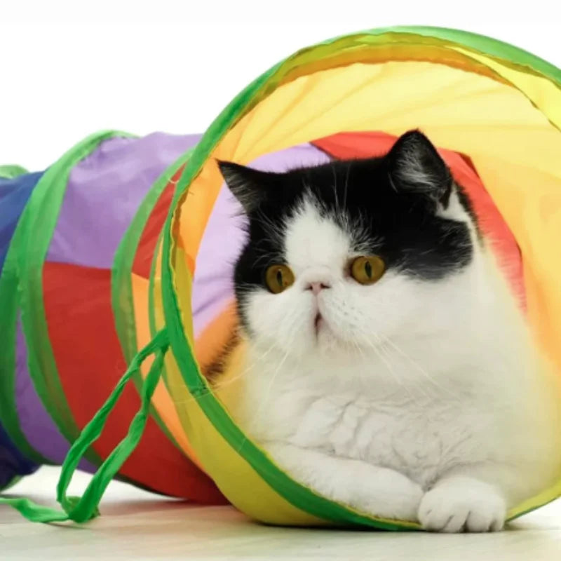 Tunnel Interactif Coloré pour Chat – Cache-cache version féline