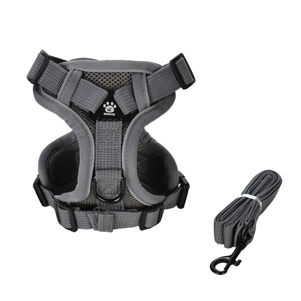Ensemble Harnais + Laisse Réfléchissant pour Petit Chien et Chat