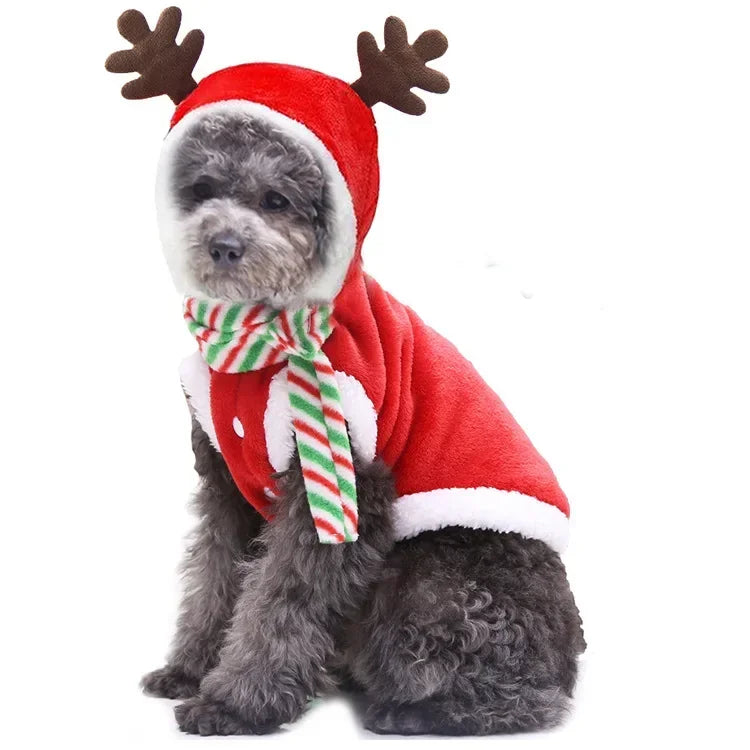 Tenue de Noël pour petits et moyens chiens – Douceur festive