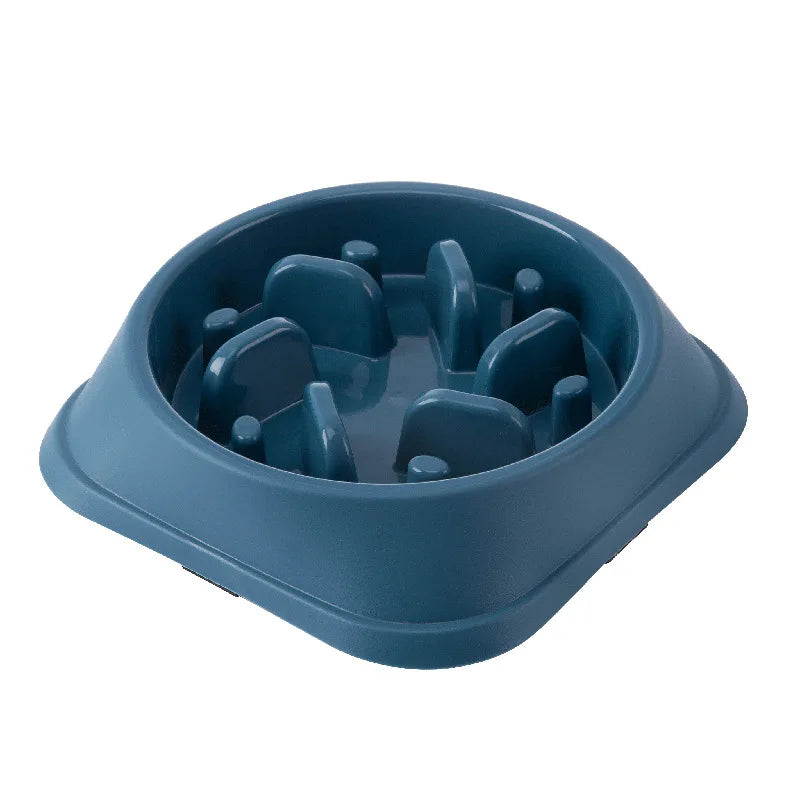 Gamelle Anti-Glouton pour Chien - Alimentation Lente et Saine