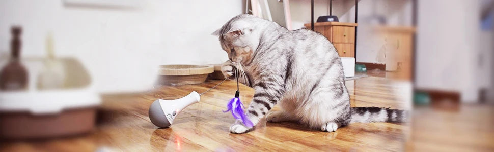 Jouet Interactif à Plumes pour Chat – La chasse sans quitter la maison