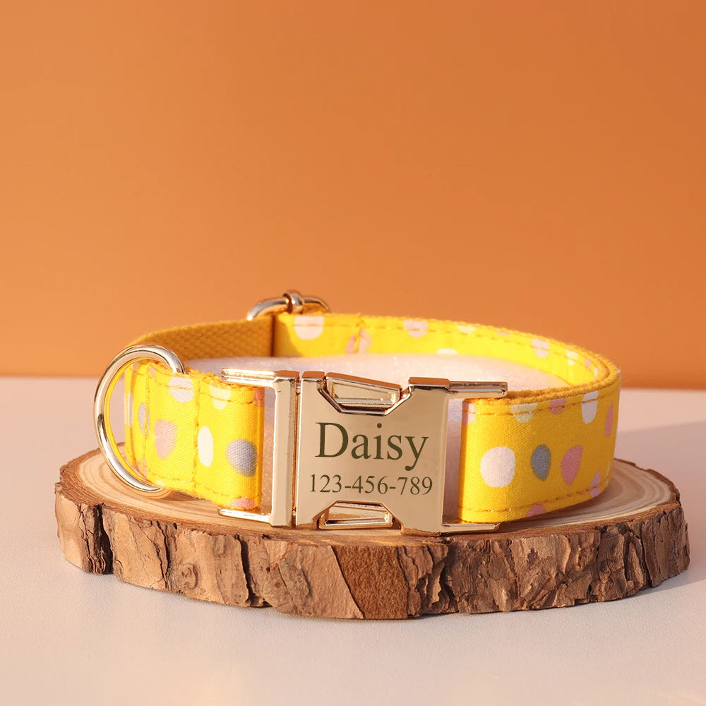 Collier Nylon Fantaisie Personnalisé pour Chien – Fun et personnalisé