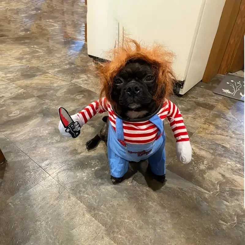 Costume Halloween Chucky pour Chien | Perruque & Bras en Peluche Inclus | S à XL
