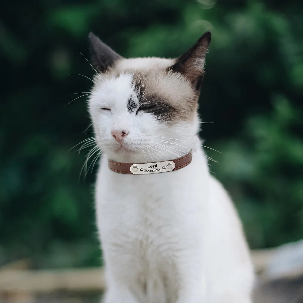 Collier en Cuir PU Personnalisé pour Chien et Chat – Pour eux deux, à leur image