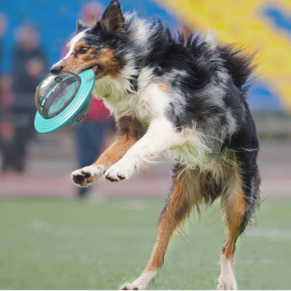 Jouet Distributeur Interactif pour Chien –  Frisbee & Distributeur de Friandises