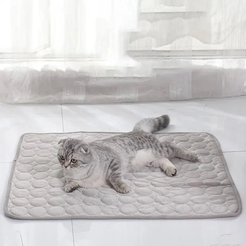 Tapis Rafraîchissant pour Chat et Chien – Frais même en plein été