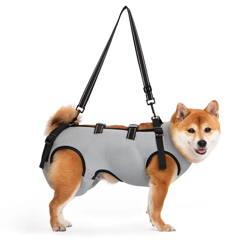 Harnais de Mobilité pour Chien – Soutien Complet 4 Pattes | Rééducation & Senior