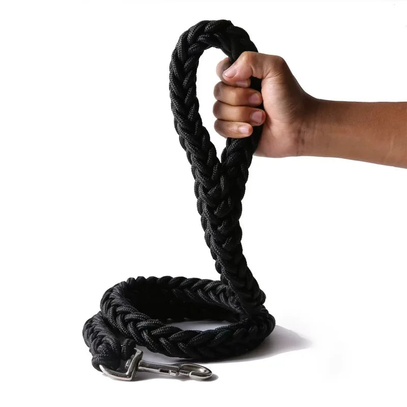 Laisse Tressée en Nylon pour Grand Chien – Solide comme un roc