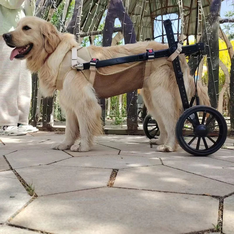 Fauteuil Roulant pour Chien – Réhabilitation Pattes Arrière, Grandes Tailles