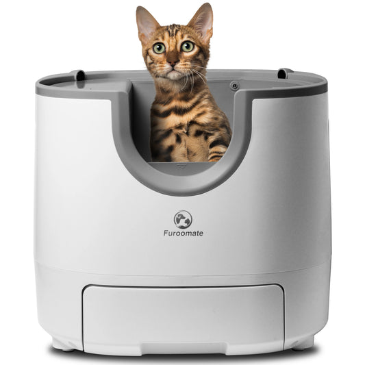 Litière Autonettoyante pour Chat – Ouverte, Idéale Multi-Chats
