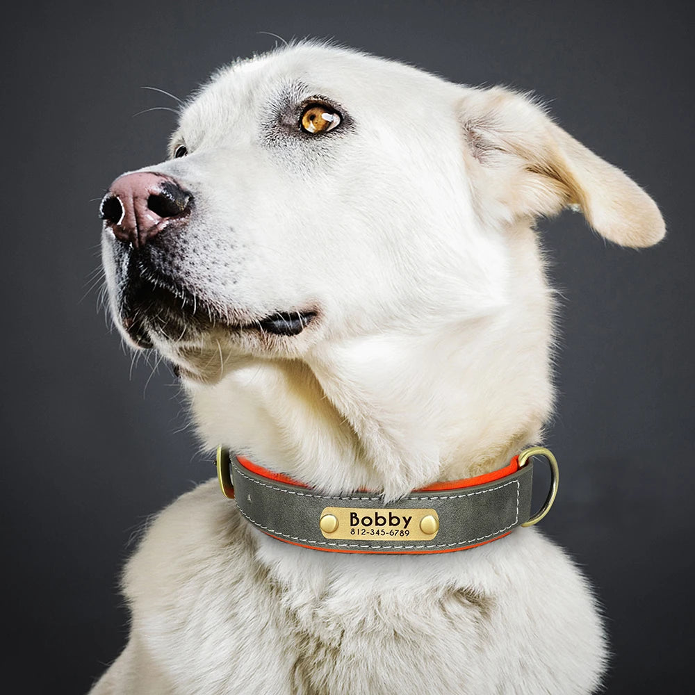 Collier en Cuir PU Personnalisé pour Chien – Chic et personnalisé