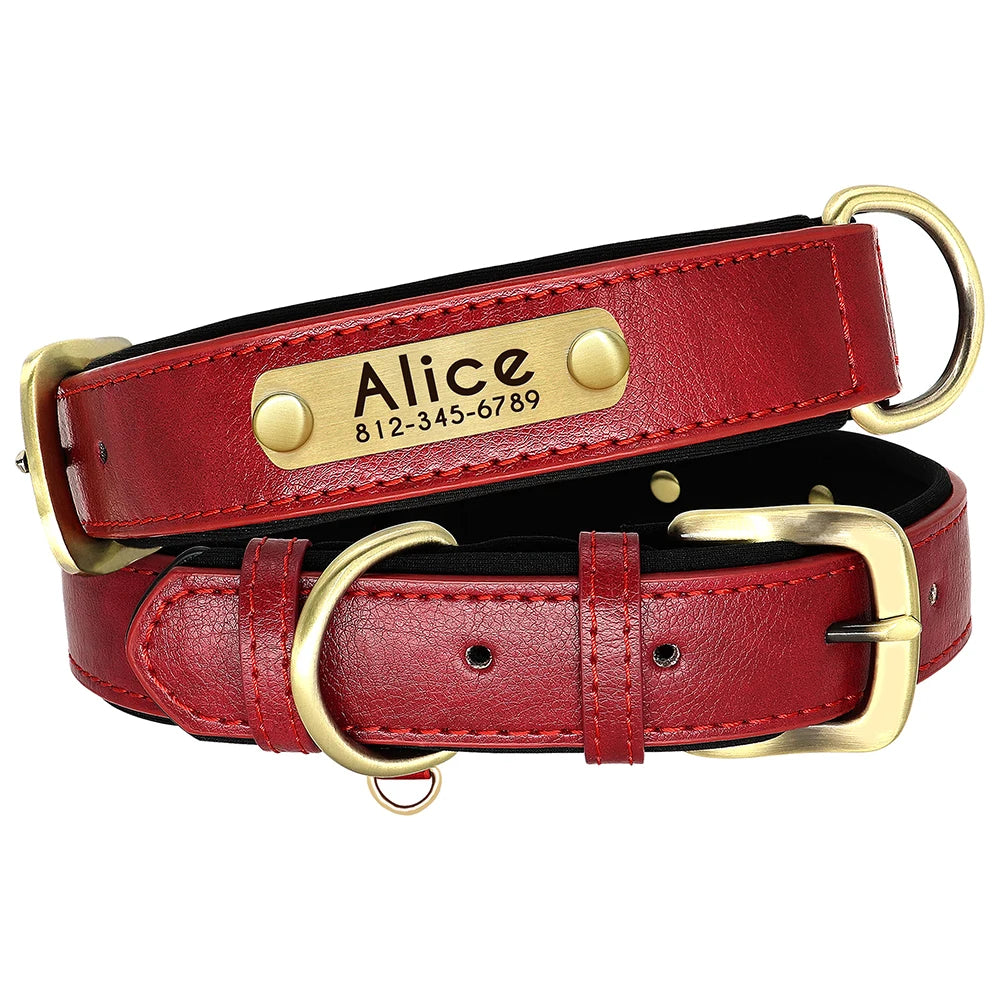 Collier en Cuir PU Personnalisé pour Chien – Chic et personnalisé