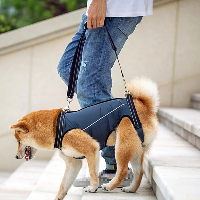 Harnais de Mobilité pour Chien – Soutien Complet 4 Pattes | Rééducation & Senior