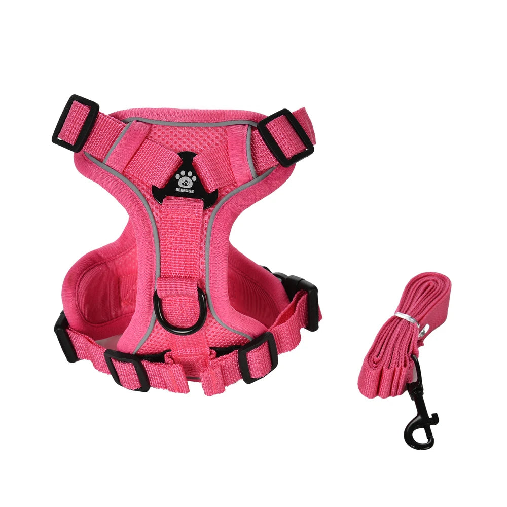 Ensemble Harnais + Laisse Réfléchissant pour Petit Chien et Chat