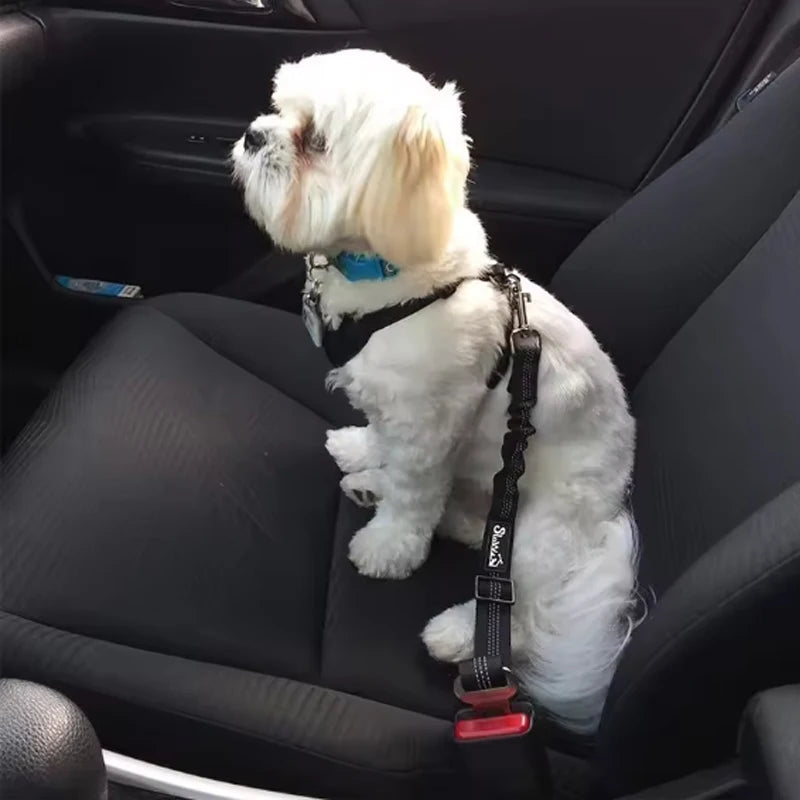 Ceinture de Sécurité pour Chien – En voiture, il est protégé