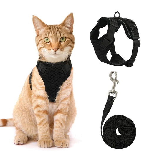 Harnais Anti-Évasion pour Chat