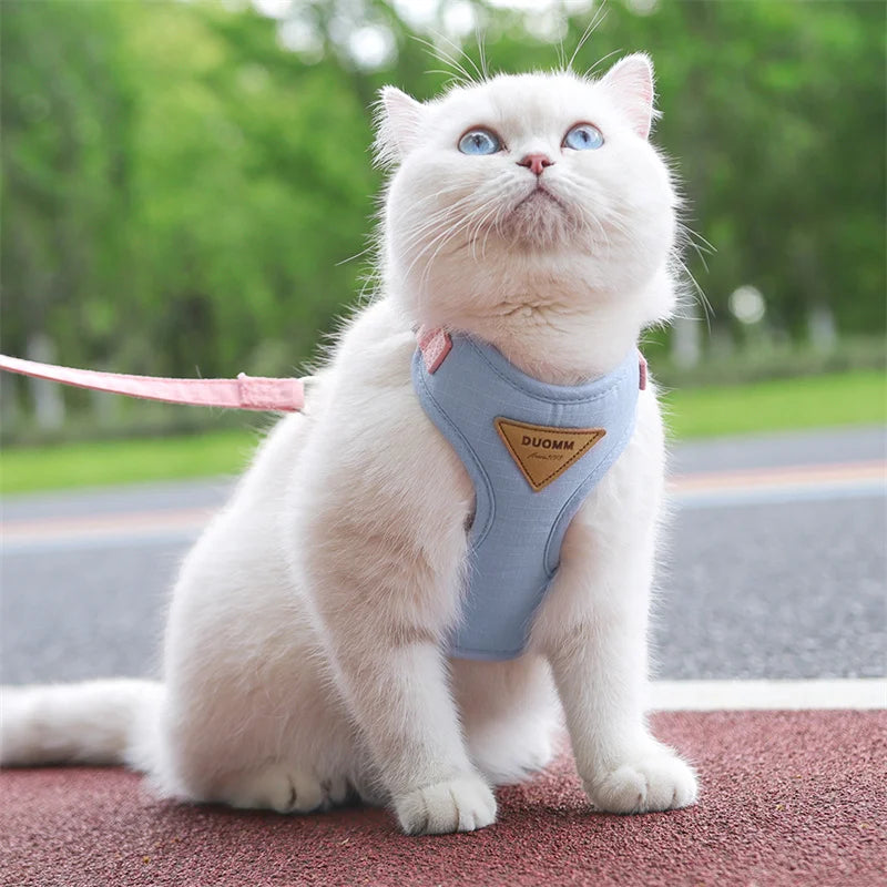 Harnais et Laisse pour Chat et Petit Chien – Prêt pour la balade
