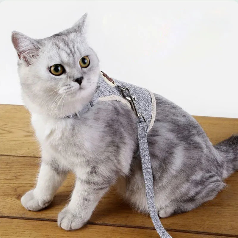 Harnais Motif Ours pour Chat et Chaton – Trop craquant !