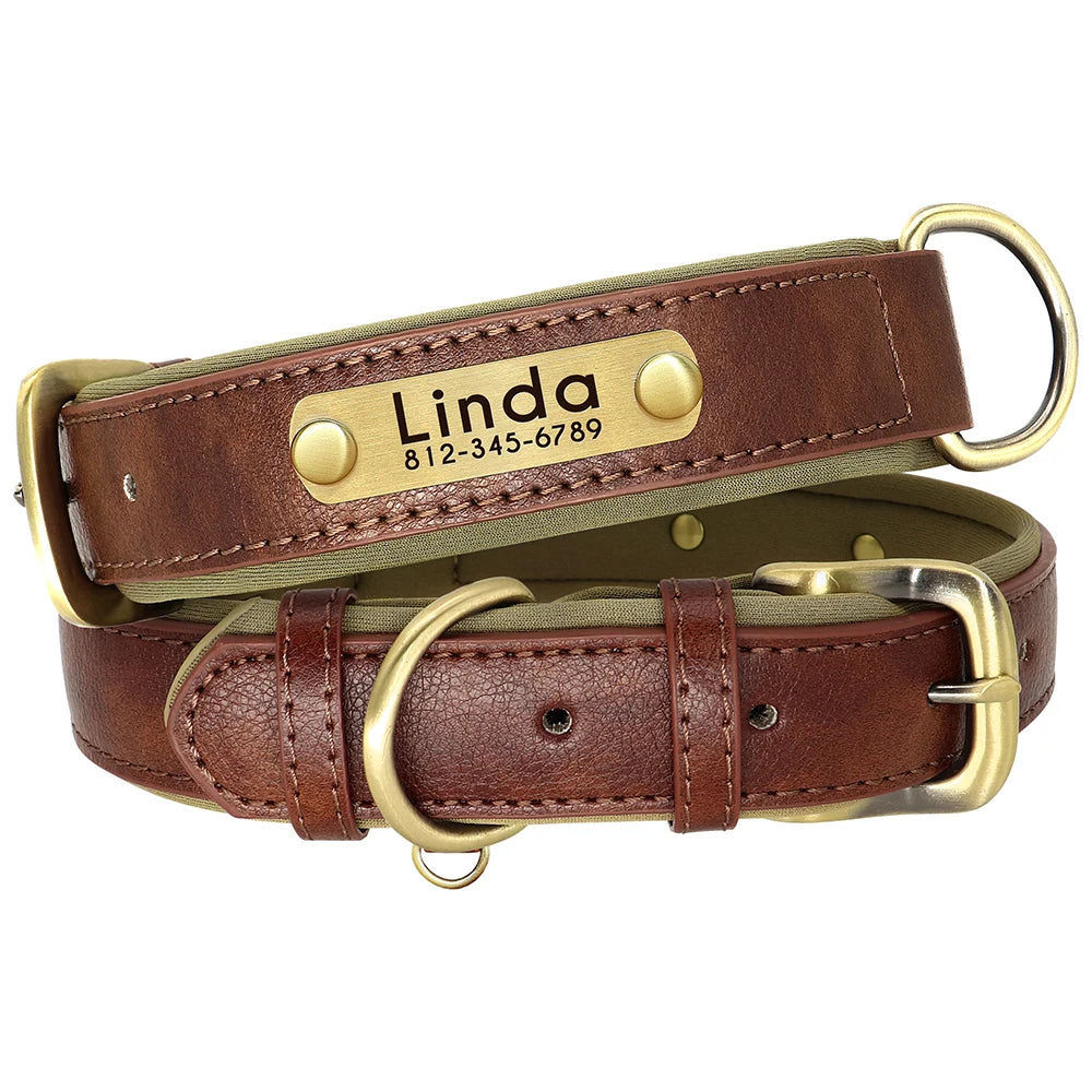 Collier en Cuir PU Personnalisé pour Chien – Chic et personnalisé