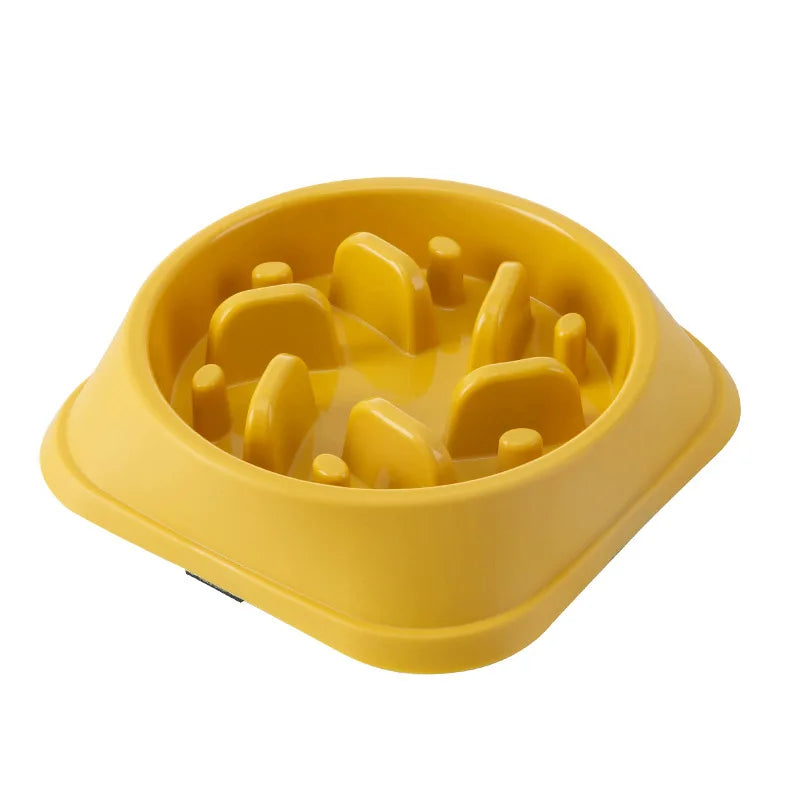 Gamelle Anti-Glouton pour Chien - Alimentation Lente et Saine