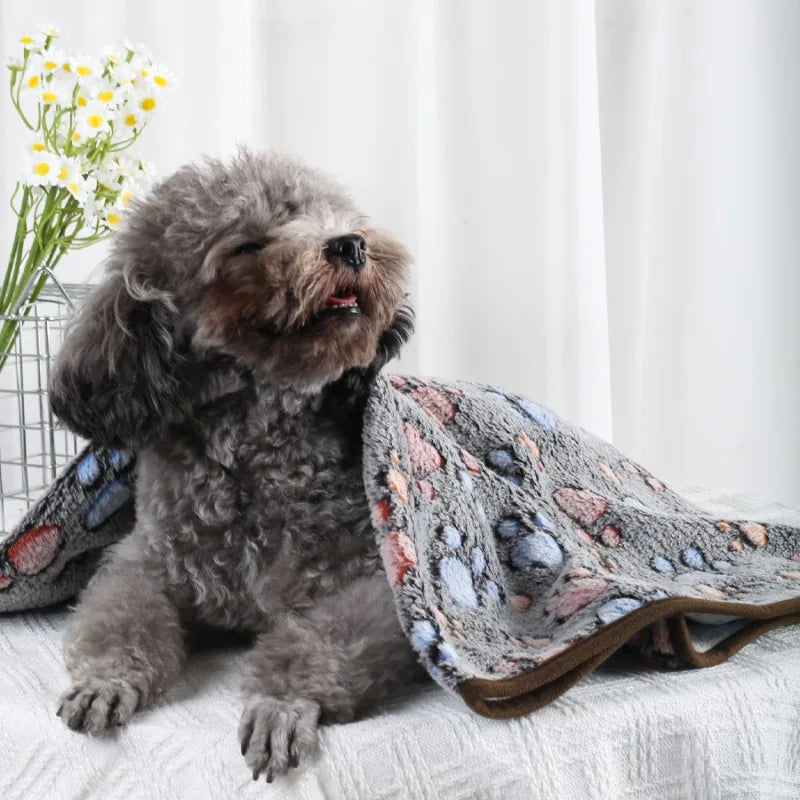 Couverture en Velours Polaire Douce Multiusage pour Chien et Chat | Chaude & Douilette | 60x40 à 100x76cm