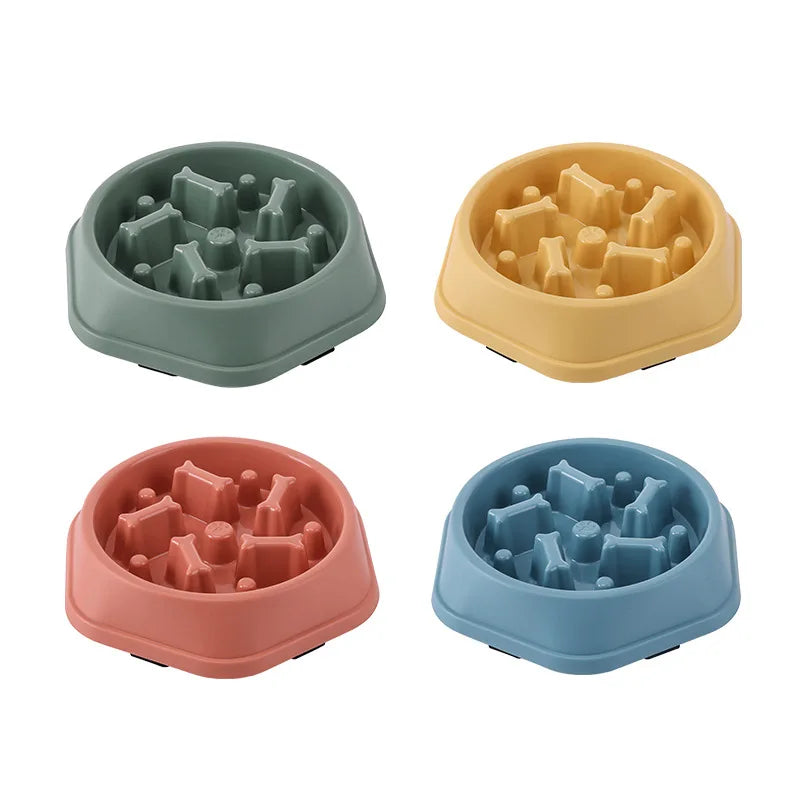 Gamelle Anti-Glouton pour Chien - Alimentation Lente et Saine