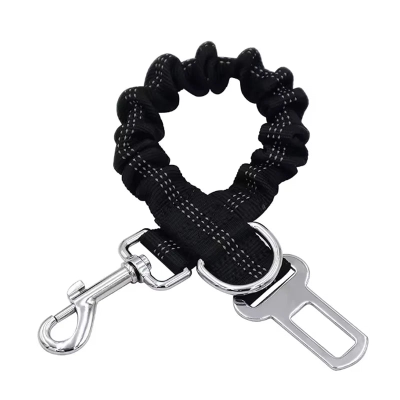 Ceinture de Sécurité pour Chien – En voiture, il est protégé