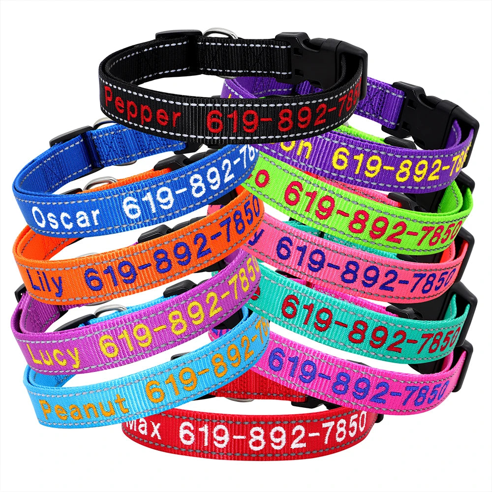 Collier Nylon Brodé Personnalisé pour Chien – Son prénom brodé sur mesure