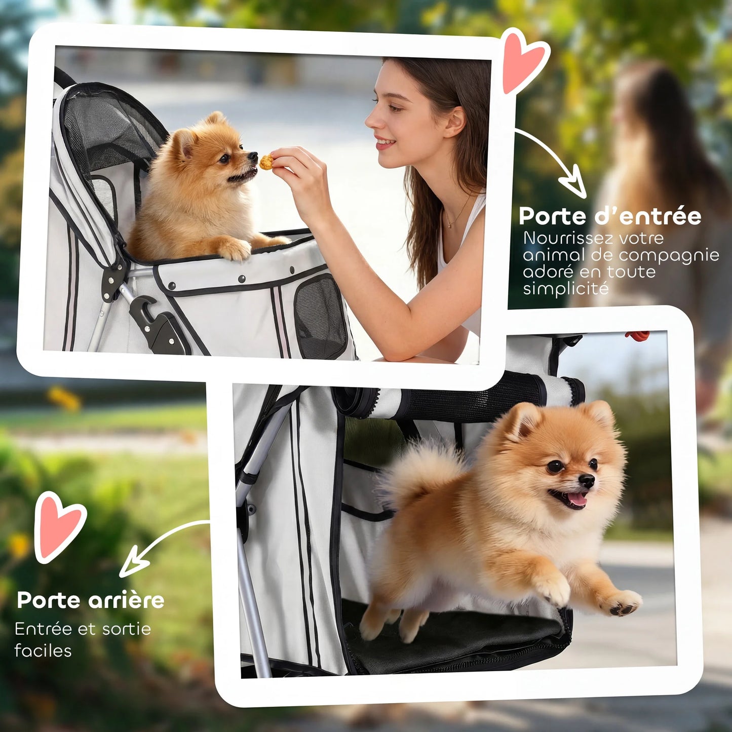 Poussette pour Chien – Légère, Pliable & Sécurisée jusqu'à 10 kg