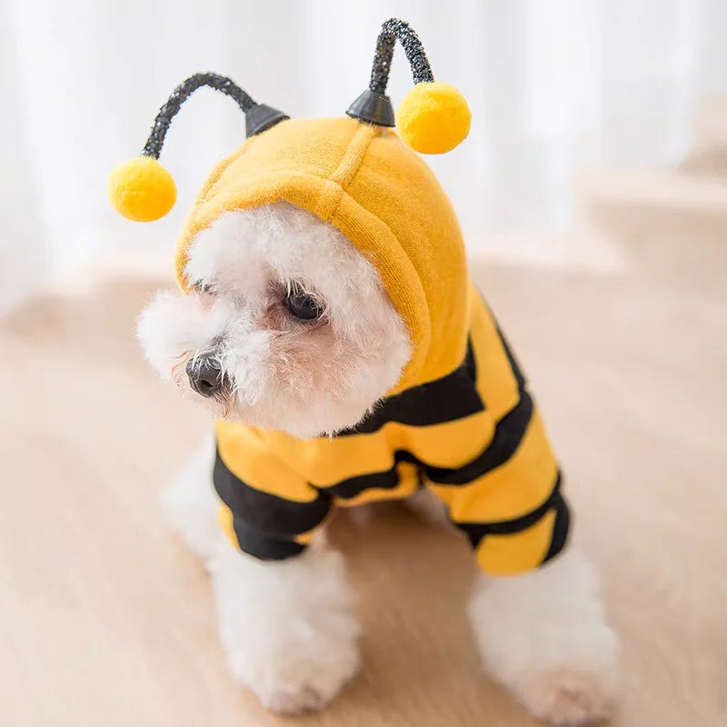 Costume Abeille pour Chat et Chien – Trop mignon pour résister