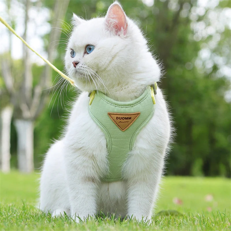 Harnais et Laisse pour Chat et Petit Chien – Prêt pour la balade