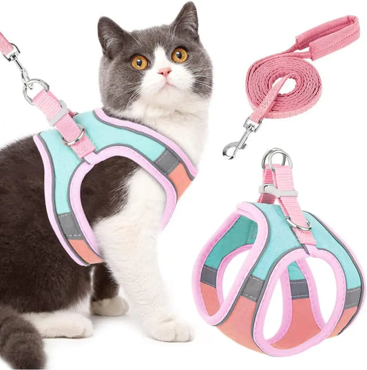 Harnais Réfléchissant pour Chat et Chaton – Visible et en sécurité