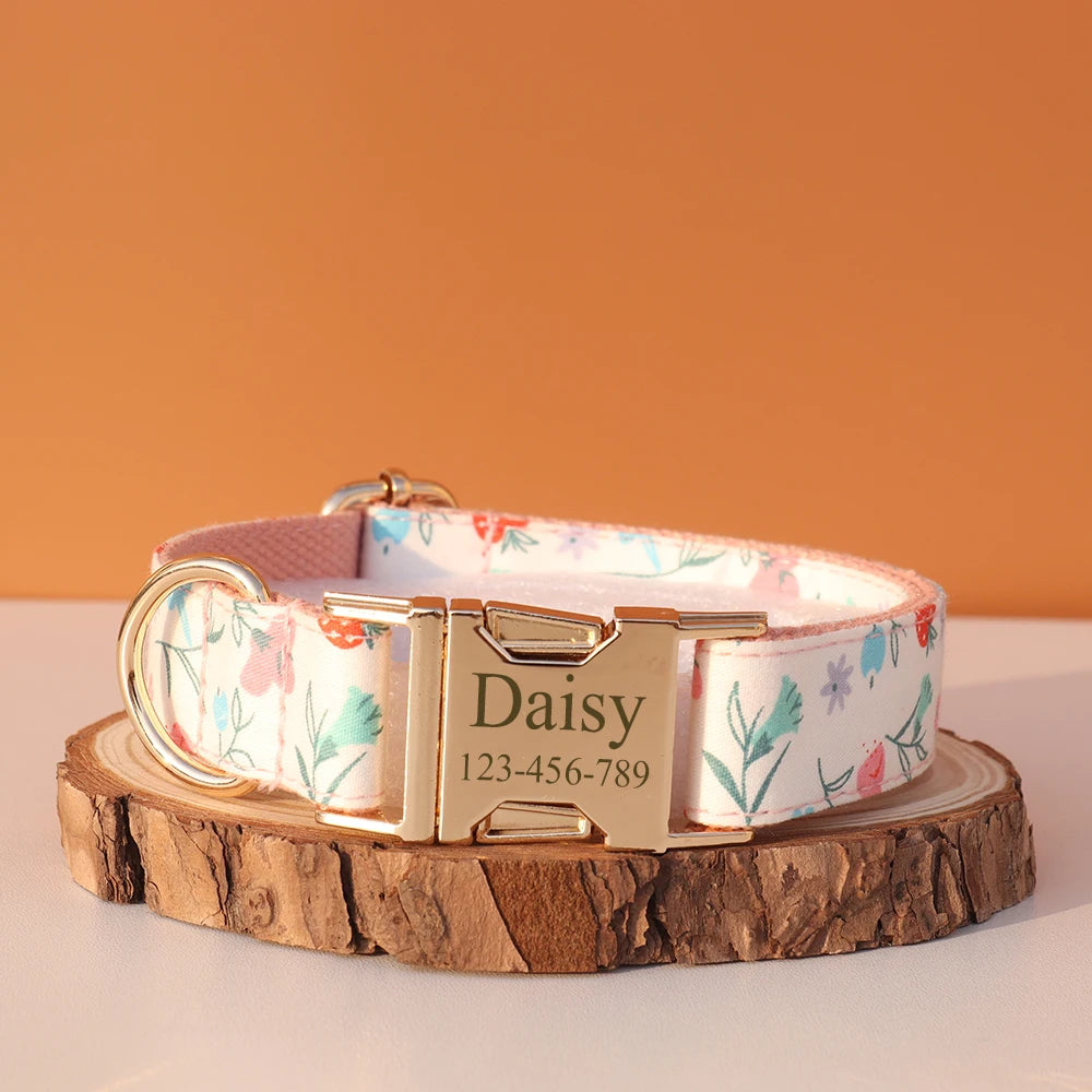 Collier Nylon Fantaisie Personnalisé pour Chien – Fun et personnalisé