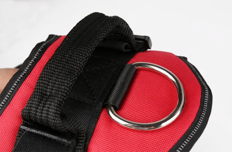 Harnais Gilet Personnalisable pour Chien – Son harnais, son identité