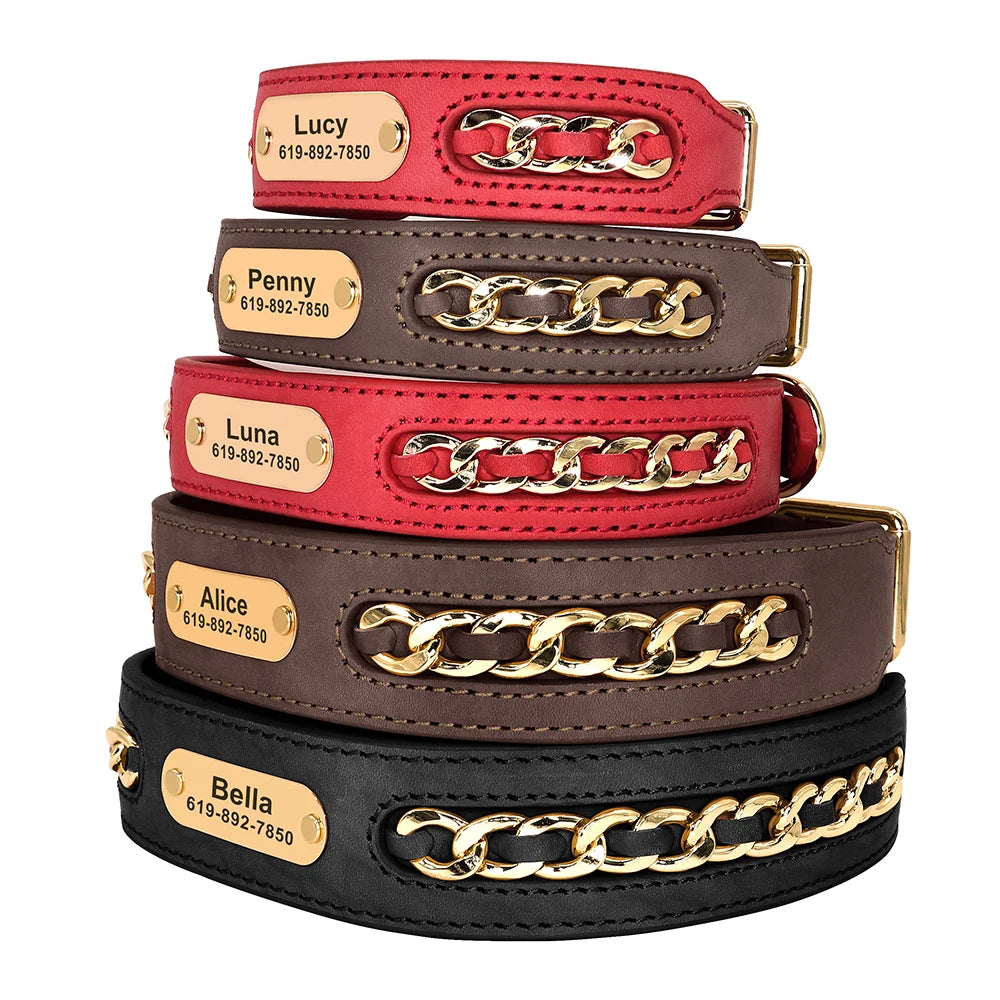 Collier en Cuir Personnalisé pour Chien – Élégant et unique
