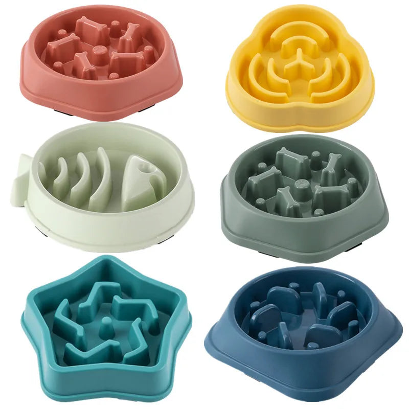 Gamelle Anti-Glouton pour Chien - Alimentation Lente et Saine