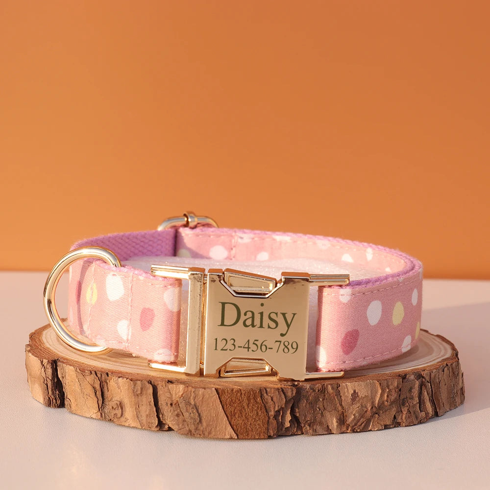 Collier Nylon Fantaisie Personnalisé pour Chien – Fun et personnalisé
