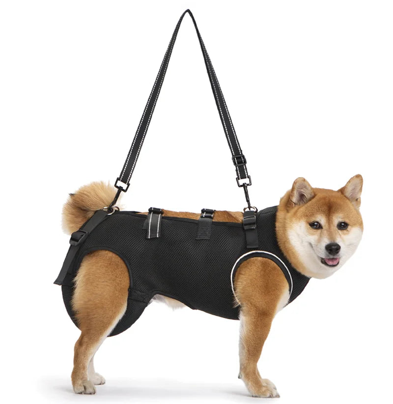 Harnais de Mobilité pour Chien – Soutien Complet 4 Pattes | Rééducation & Senior